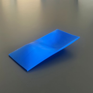 P1: Plate Simple-Simple photo